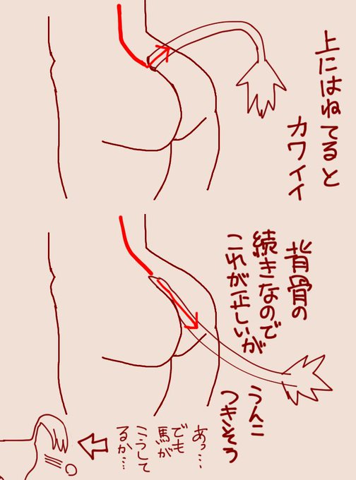 毎回、しっぽ付きキャラを描く度に考えてしまうんですが…
まぁどっちでもいいですよね二次元絵だし 