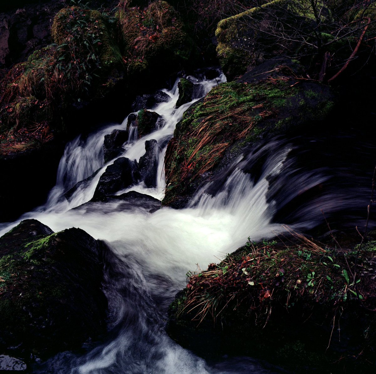 thiventphoto's tweet photo. La vidéo Cantal enfin disponible !  https://t.co/ok9FxLOavj https://t.co/HSXzhqhNsn