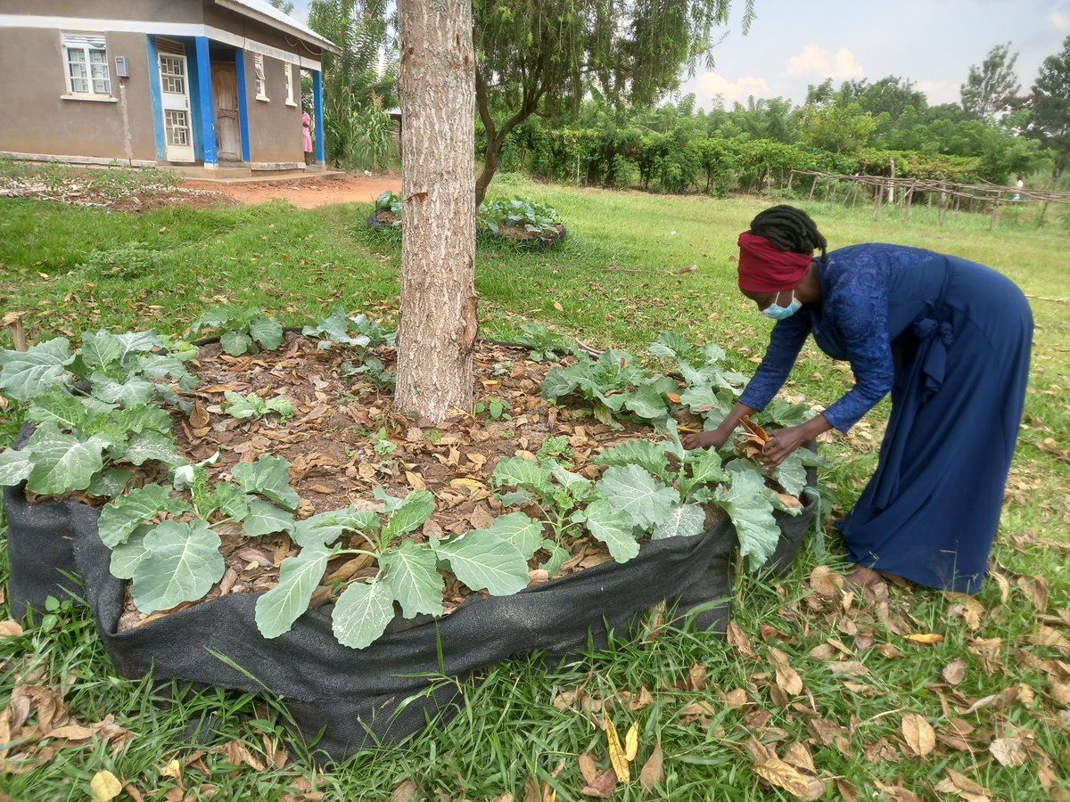 Climate change threatens food security globally. Erratic weather patterns disrupt agriculture,
leading to hunger. Lets unite in environmental stewardship to combat this threat. By adopting
sustainable practices, we can safeguard food access for generations to come.
#ZeroHunger