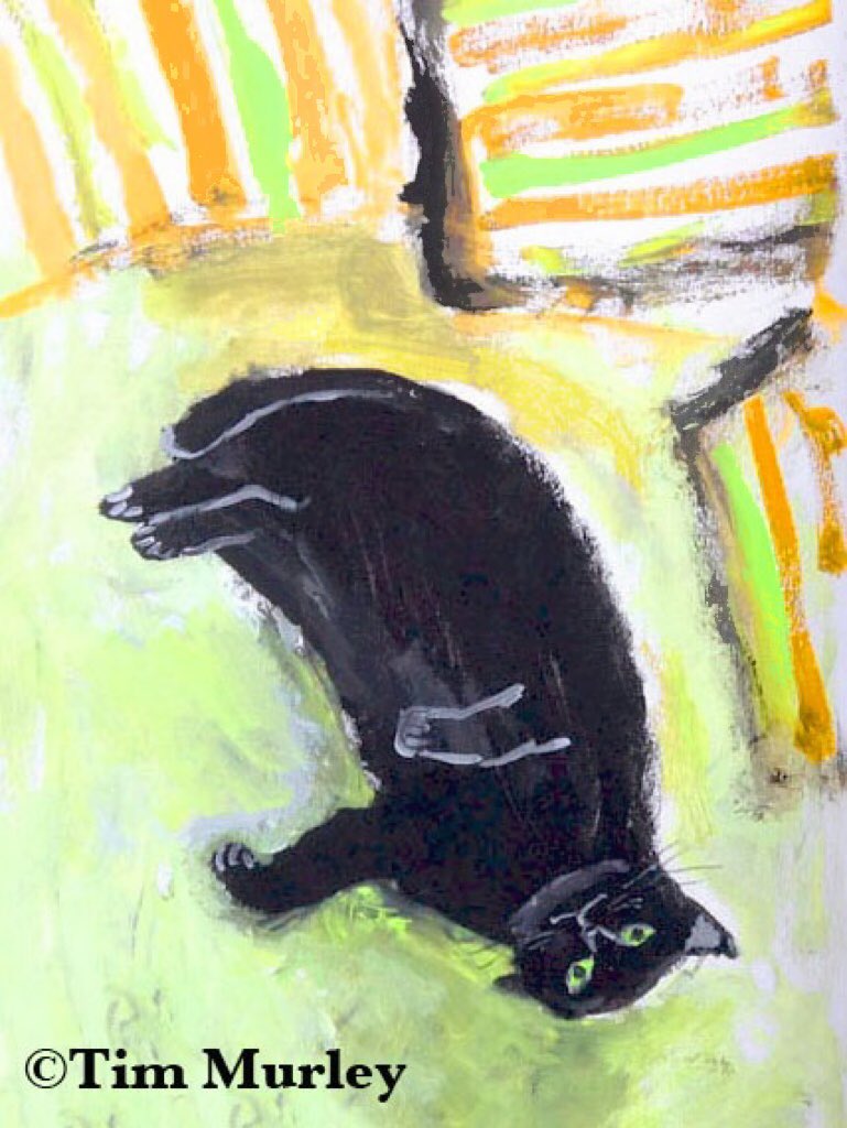 Lazy black cat. 🐈‍⬛ #catsagram #catnip #catcommunity #catportrait #catportraits #feline #catniphigh #caturday #cats #cat #CatsOfX #petportrait #MondayMorning #catscatscats #ilovecats #westpalmbeach #lazycats #cutecats #cutecat #lazycat #blackcat #blackcats #gatosnegros #cute