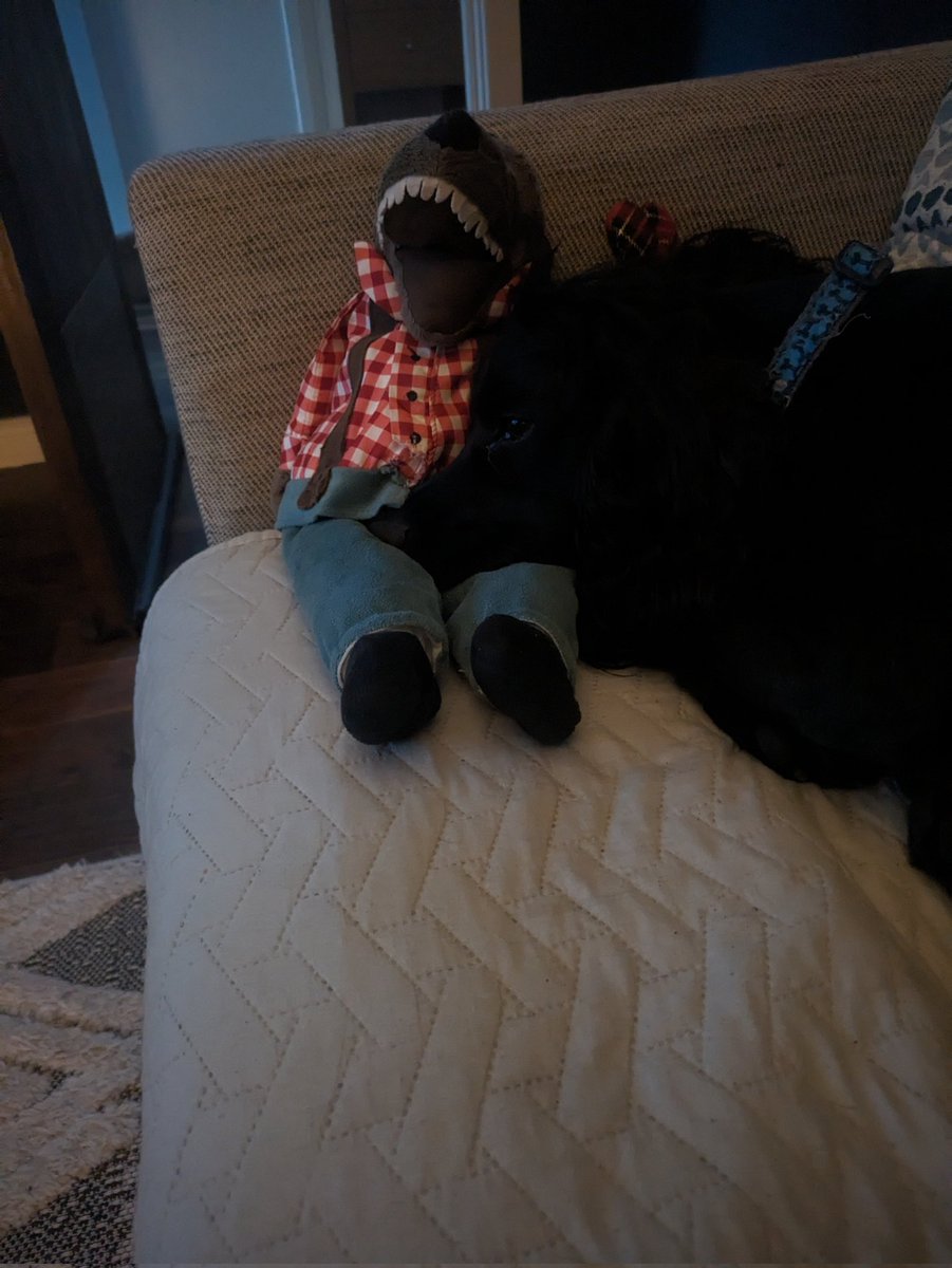 It's got to be one of the best days of the year in Belfast.  Young, old, 2 legs or 4 paws it brings everyone together like nothing else.  Getting bigger, better and brighter every year 🏃🏻‍♀️💛🏃🏻‍♀️💛

<a href="/marathonbcm/">BelfastCityMarathon</a> job well done ✅