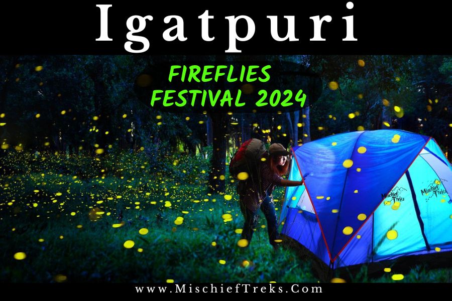 Fireflies Festival Igatpuri AquaNest™ Camping 2024
Event link: mischieftreks.com/tours/fireflie…
The AquaNest Igatpuri fireflies festival starting from May 18, 2024 and ending June 22, 2024 is one of the best locations near Mumbai to see maximum fireflies.