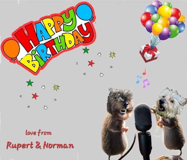 Happy Birthday Oswald 🎂 Love from Rupert and Norman xxx @Norman_Dillon1 #BovverBoys