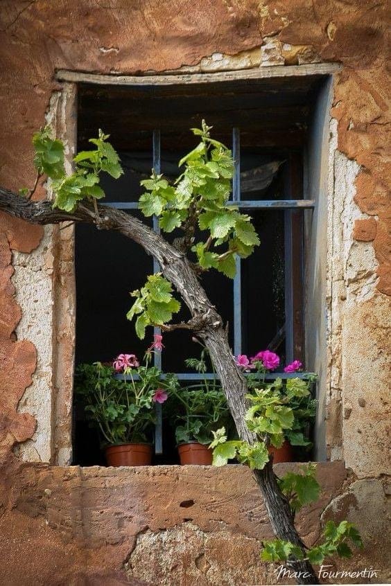 Χριστός Ανέστη !!!
Ευλογημένη και όμορφη Δευτέρα  !!
Καλή εβδομάδα  !