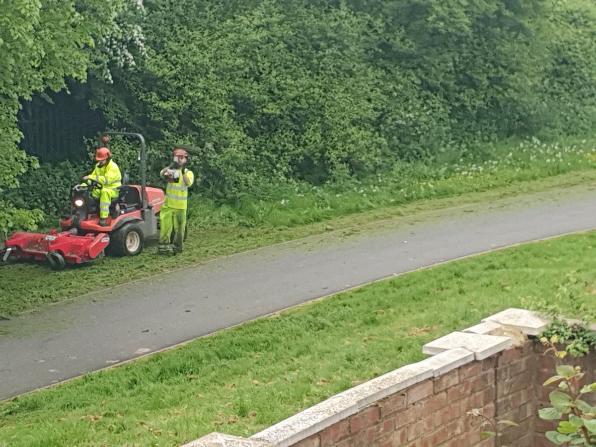 Let's set off early to destroy #flowers that were left behind 4 #pollinators last week as we're <a href="/HfdsCouncil/">HerefordshireCouncil</a> in #NoMowMay 
Welcome to #MayDay morning in a #BiodiversityCrisis  <a href="/WildlifeTrusts/">The Wildlife Trusts</a> <a href="/Love_plants/">Plantlife</a>