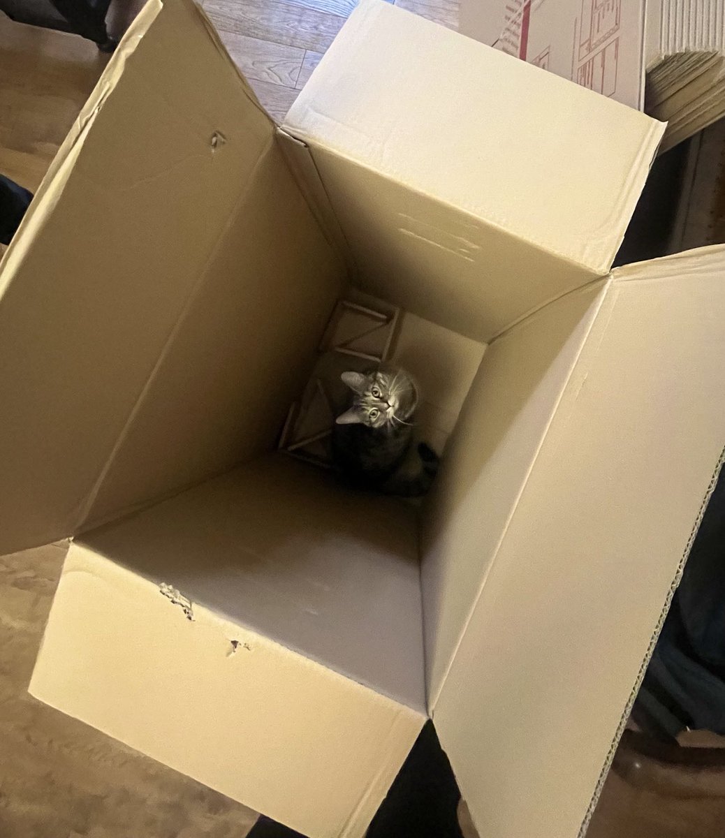 PickliciousF's tweet image. I have jumped in a very deep box. Someone call the fire brigade