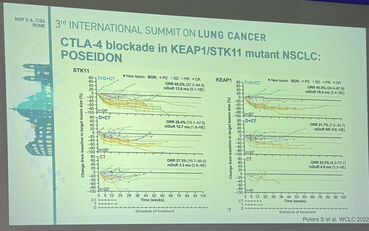 Dr. @BiagioRicciutMD summarizes immunotherapy biomarkers at #RomeLung24. PDL1 expression is still our best biomarker: higher the better. TMB plays a role but higher cutoffs predict better. STK11/KEAP1 predict poor outcomes with PDL1 but targeting CTLA4 can potentially overcome.
