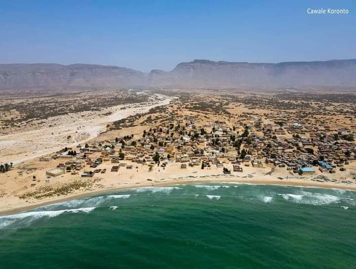 Puntland's government and coastal residents must prioritize greening coastal cities: planting palms, cleaning beaches, and promoting sustainability🌴🌊 #GreenPuntland #SustainableCities'