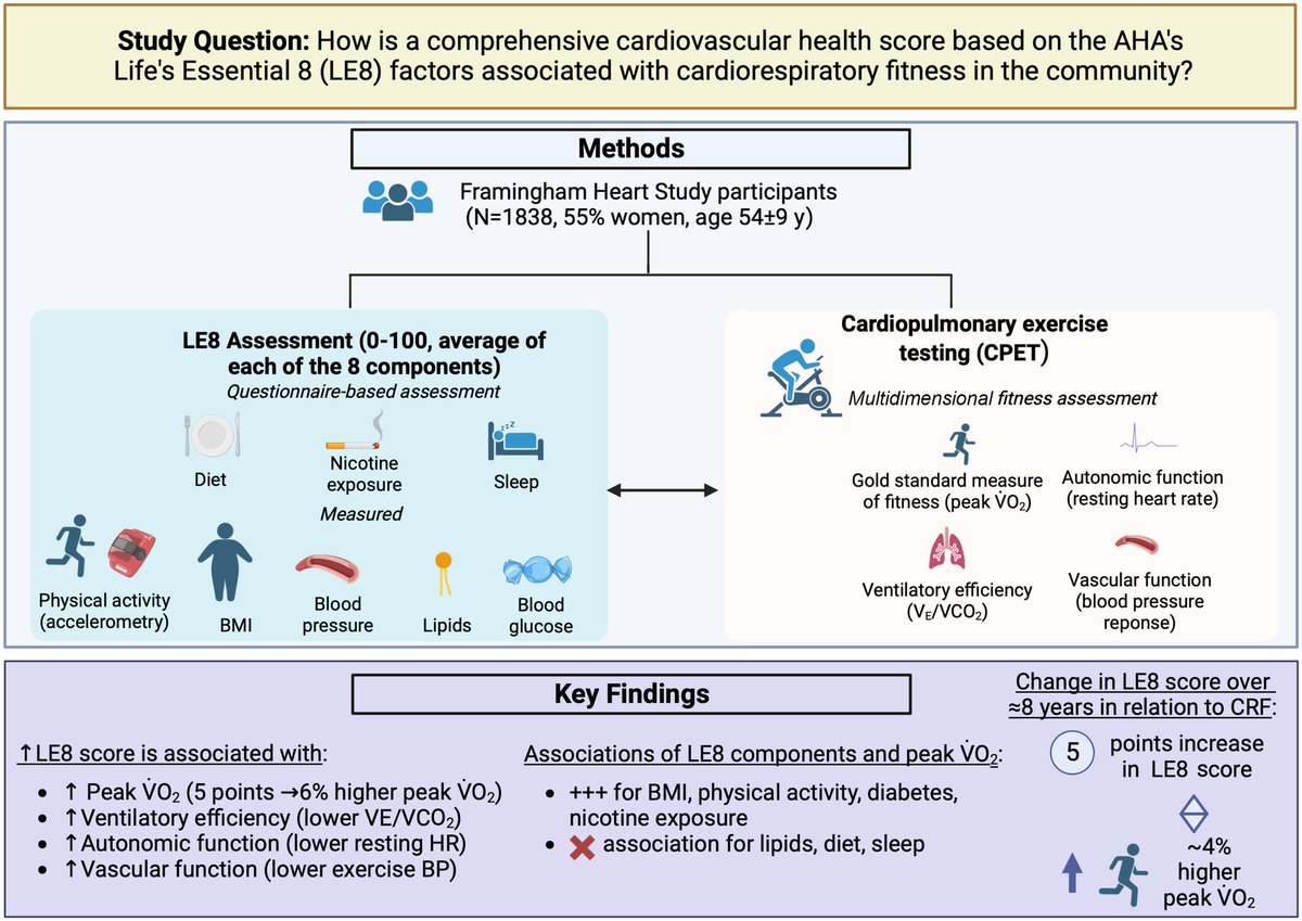 Here, a high level of cardiovascular health, as evaluated using the American Heart Association’s Life’s Essential 8 cardiovascular health score, was associated with greater cardiorespiratory fitness.