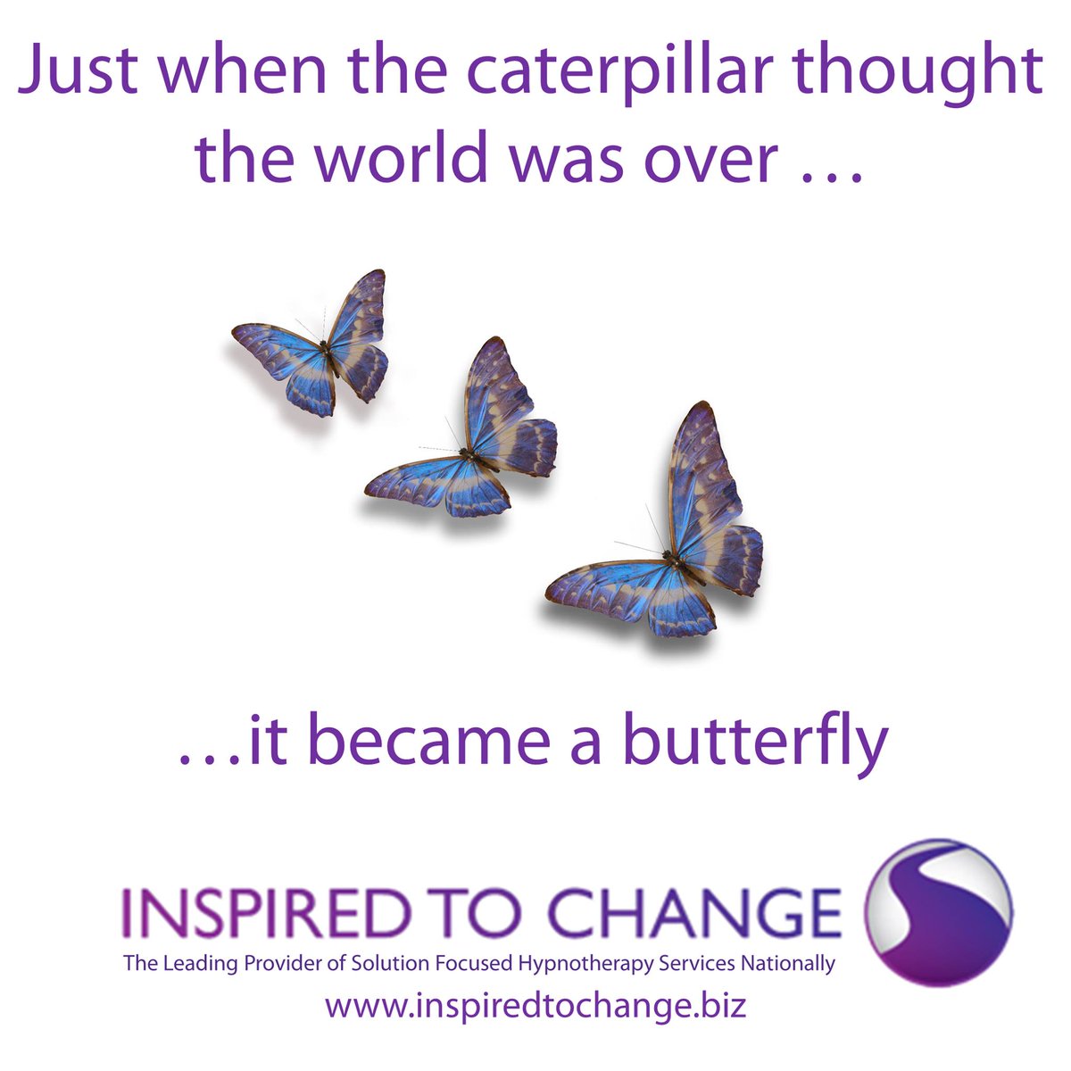carolineprout's tweet photo. Just when the caterpillar thought the world was over...it became a butterfly https://t.co/geuegBw2zm