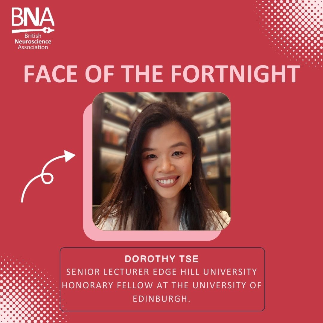 NEW BNA Face of the Fortnight: @DorothyBett. Dorothy is a senior lecturer in psychology at Edge Hill University. Her expertise is in the neurobiology of learning and memory, early detection of dementia, and promoting healthy ageing. Read more at ow.ly/En6a50Rsx2G