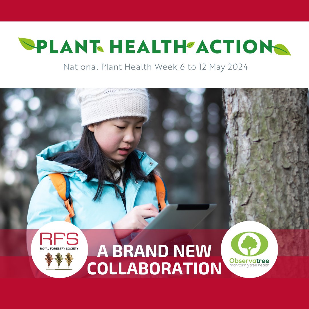royal_forestry's tweet image. News: RFS announces new collaboration with @Observatree, the tree health citizen science project led by @ForestResearch.
rfs.org.uk/news-list/obse…
#PlantHealthWeek #NPHW24 #ObservaTree #CitizenScience