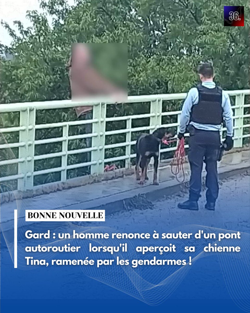 🐾 #Gard : un homme renonce à sauter d'un pont autoroutier lorsqu'il aperçoit sa chienne Tina, ramenée par les gendarmes !

Bravo aux gendarmes, aux pompiers et à Tina !

(© Gendarmerie du Gard)