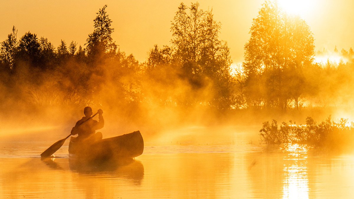 This month’s image in the spotlight is ‘Misty Sunrise’, taken by Jari Romppainen on the Simojoki River in Ranua, Finland. 📸 The photo was one of the winners of @pefcsuomi's 2021 photo contest and a finalist in the 2023 Best of the Best photo contest. treee.es/MayPhoto23