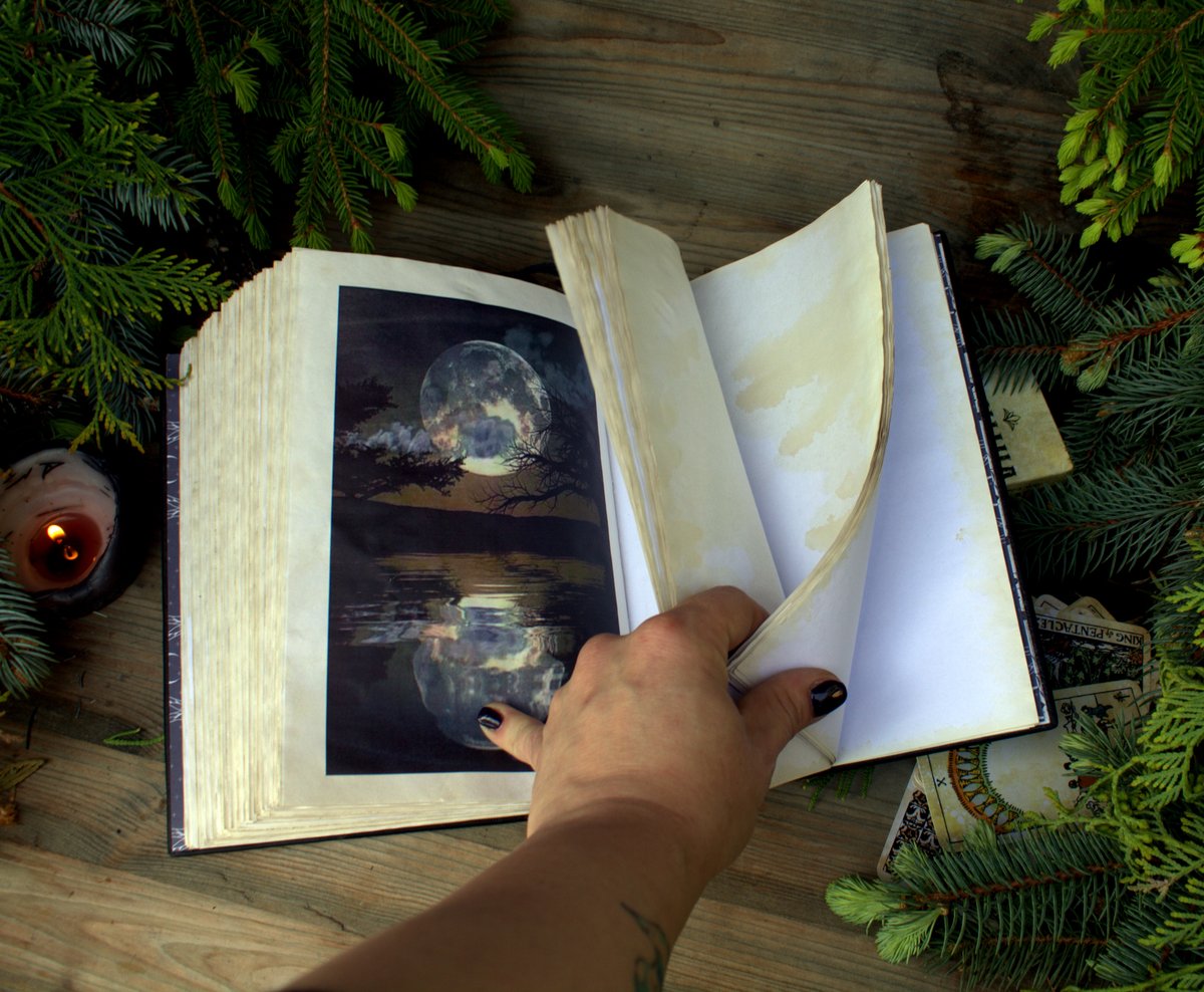 MemoryKeeper9's tweet image. memorykeeper.store/products/large… 
Empty grimoire with blank pages