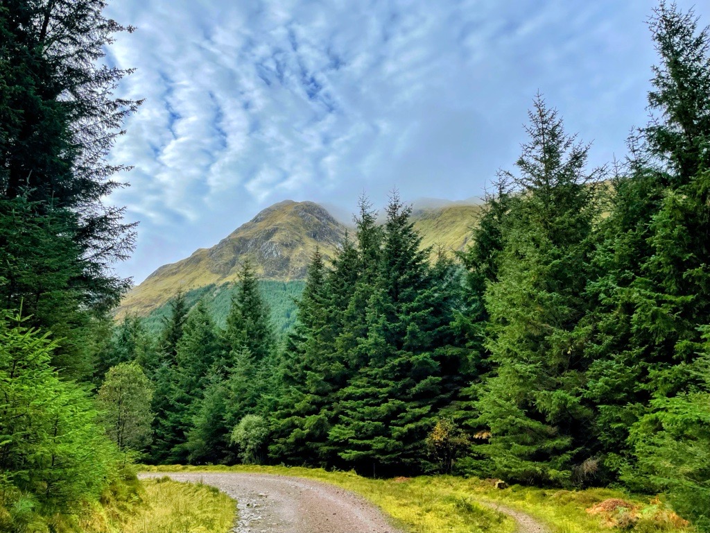 Today marks the first day of National Plant Health Week. On May 8th, AAC Clyde Space is taking part in @CivTechScotland 9 Demo Day where we will be demonstrating our solution to help address #Scotlands forest health. #IPHD #NPHW loom.ly/F71MBSo