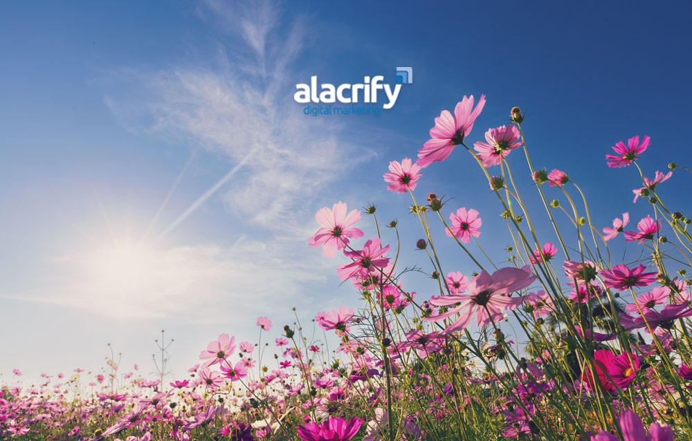 Just a reminder our office will be closed due to the Early May Bank Holiday. Our phone line and emails will be unmonitored also.

We will be open as normal Tuesday 7th May 2024.