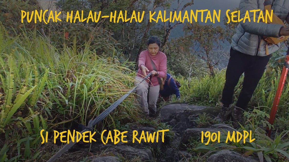 HandewiP's tweet image. Watch this on : youtu.be/6GzkRN3oNrU?si…