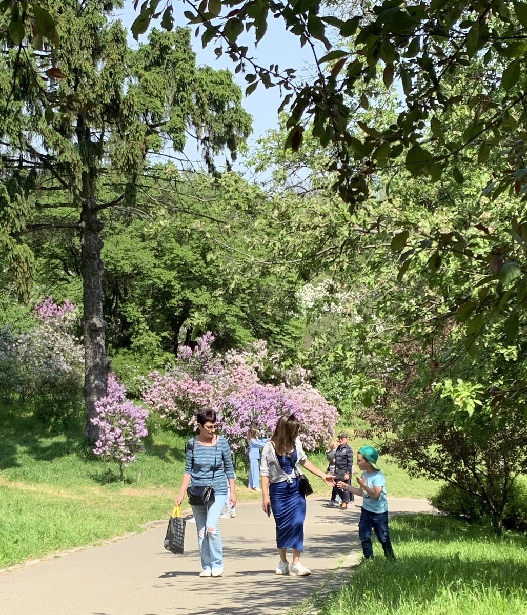 May is my favourite month in Kyiv. I visited the Hryshko Botanical Gardens today, where the lilacs are in full bloom. This is the third year since Russia’s full-scale invasion that they have blossomed in a sovereign, independent Ukraine. They will for centuries to come.