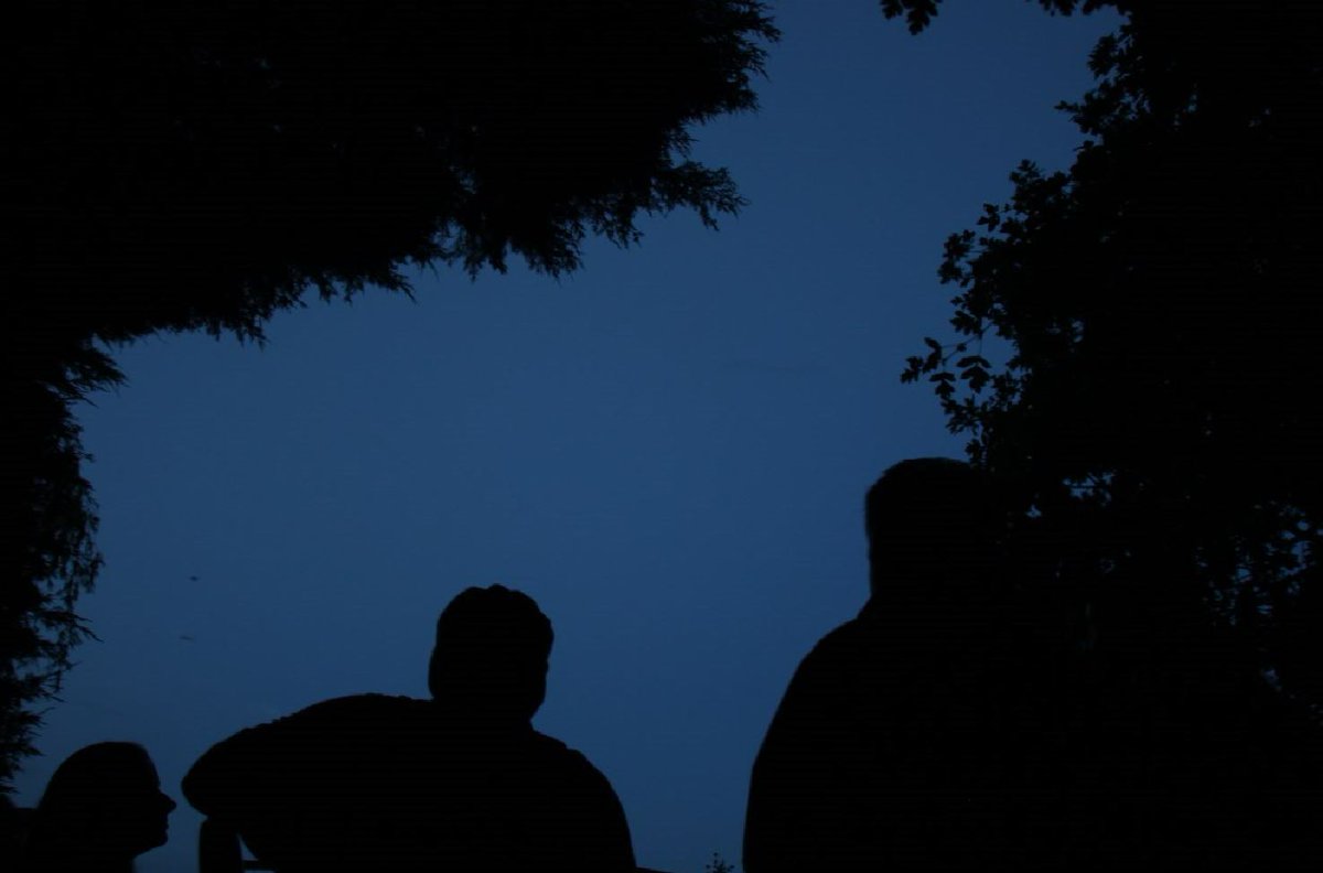 Join us under the stars! 🌌 Embrace the magic of the night on our Nocturnal Walk at #RSPBStAidans. Explore the mysteries of nature after dark, spot elusive creatures, and immerse yourself in the nocturnal symphony of wildlife. More info: events.rspb.org.uk/browse?filter[… 📷|Peggy Cook