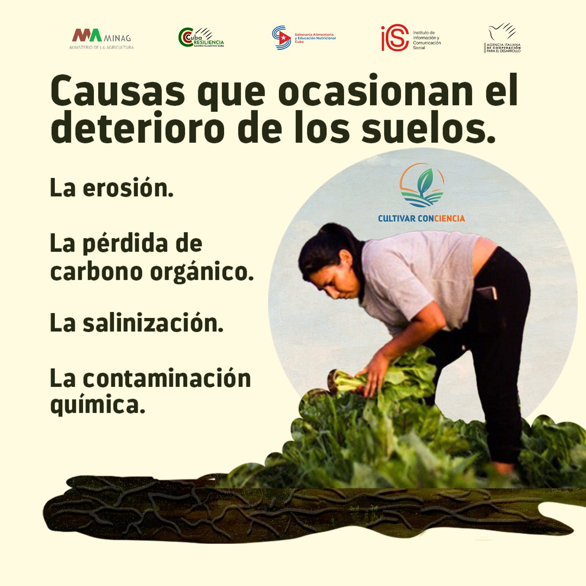 Por las funciones de los suelos en la conservación de la biodiversidad, la mitigación del cambio climático, la seguridad alimentaria y la sostenibilidad agrícola, es fundamental su cuidado y preservación.
🔸 ¿Qué causas ocasionan su deterioro? Le comentamos. 🌱🥭🇨🇺
#Cuba