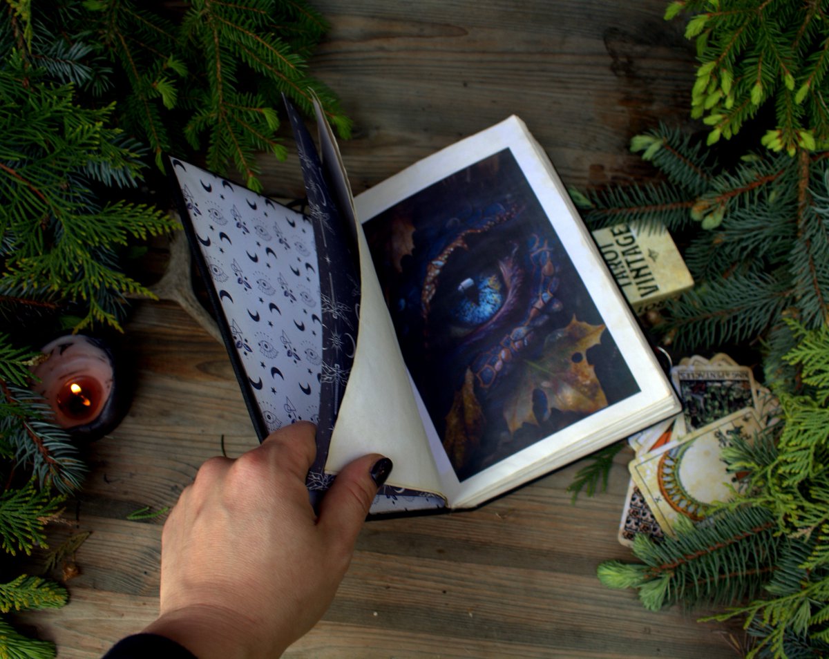 MemoryKeeper9's tweet image. memorykeeper.store/products/pract… 
Practical magic book Lilith energy