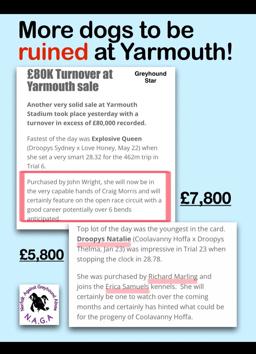 It’s all about money, nothing to do with the dogs! Corden boasting about money paid for dogs at the Yarmouth auction. Poor dogs born into a life of constant exploitation. #bangreyhoundracing #cutthechase #dontraceembrace #brandonlewis #stevebarclay