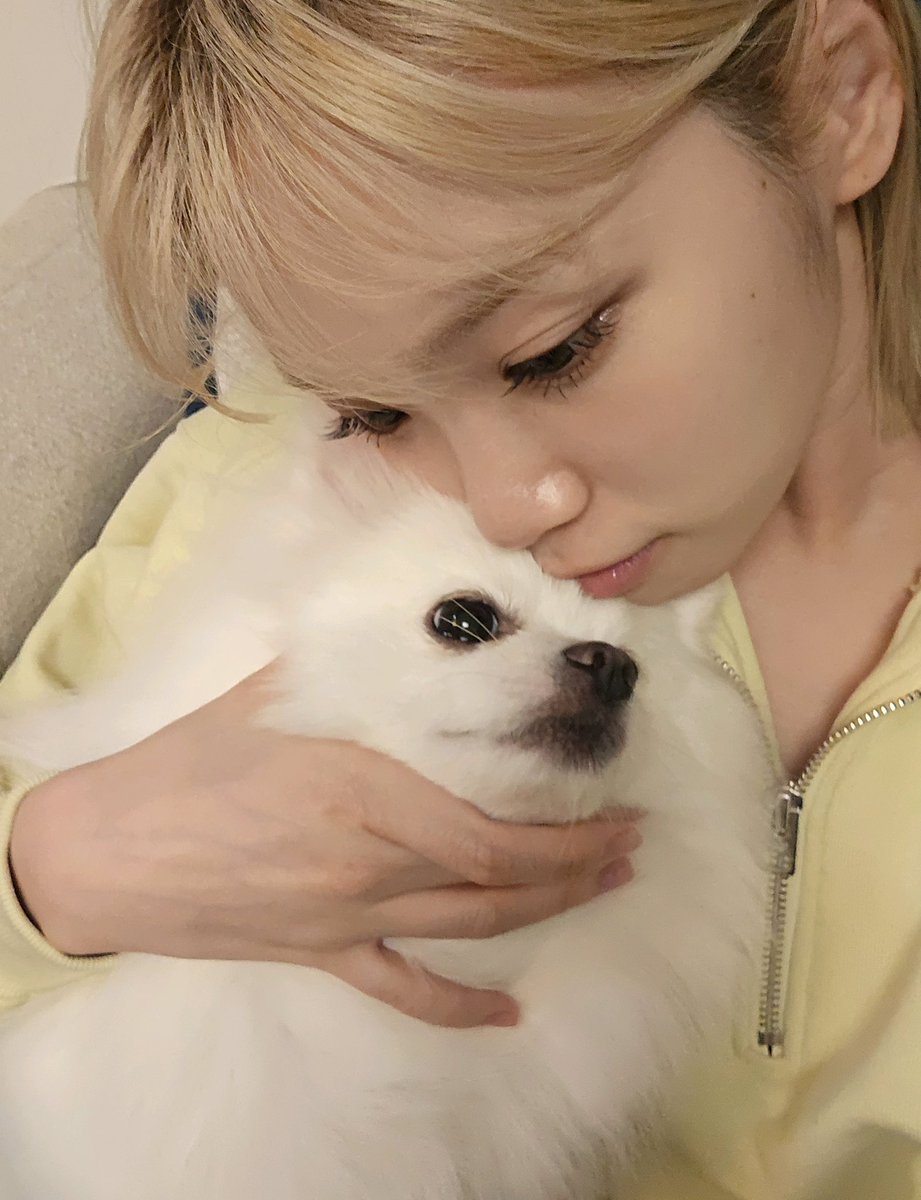 ___chaechae_'s tweet image. 제발