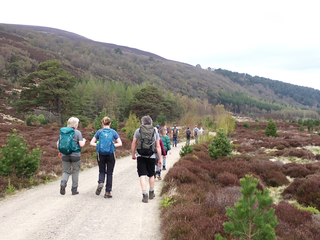 Great to see so many people get together with such enthusiasm, friendliness and good discussion at our 50th anniversary <a href="/TheNWDG/">NWDG</a> meeting in Speyside on 2-4 May. Thanks to everyone for being part of it and especially to the organisers and the people who showed us around the sites.
