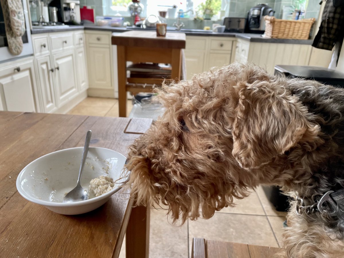 Porridge? For me? Why you shouldn’t have