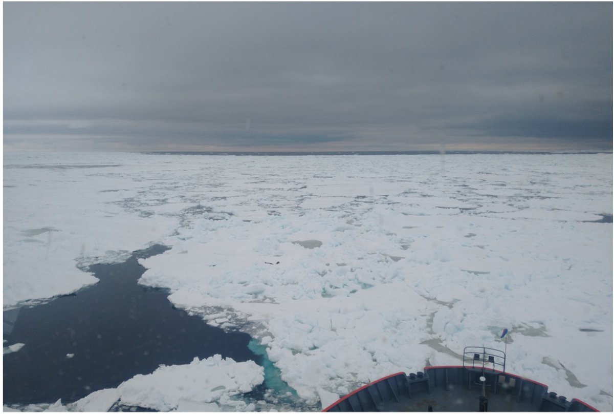 📣 novo curso: @IocUnesco /OTGA/STC Argentina: Observador de Hielo Marino y Témpanos [virtual] 📆 19-23 agosto 2024 ⏱ aplicar antes del 26 de mayo de 2024 👉oceanexpert.org/event/4223 @IODEocean -@UNOceanDecade