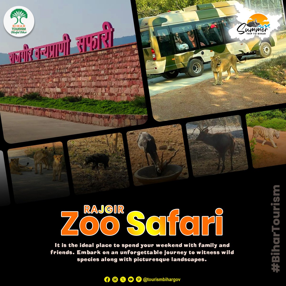 Experience wildlife wonders at Rajgir Zoo Safari. Witness an unforgettable safari adventure, embracing the beauty and diversity of Rajgir's natural treasures. . #Bihar #dekhoapnadesh #bihartourism #BlissfulBihar #explorebihar #incredibleindia #mustvisit #mustvisitplace #heritage…