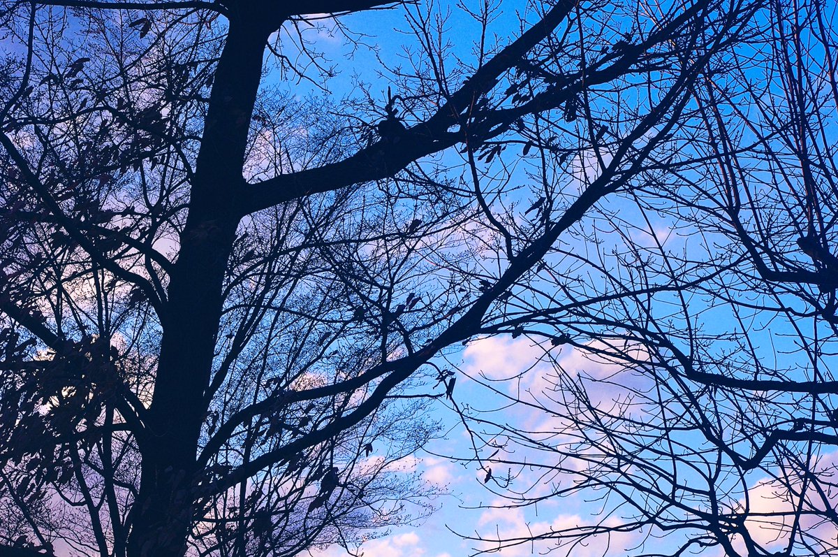 0_skyblue's tweet photo. 最近撮ったいろんな青い空 https://t.co/so7lyokQM1