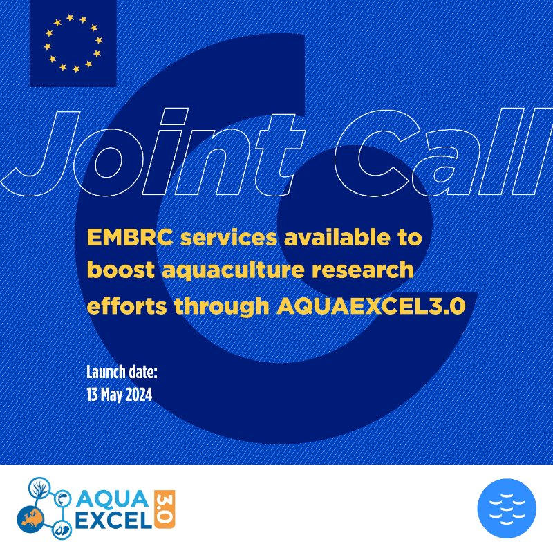 EMBRC_EU's tweet photo. #EMBRCNews | 👉 New EMBRC research services for @AQUAEXCEL3

👉 From 40 EMBRC marine stations&amp;institutes in 8 countries
👉 Focusing on marine biological&amp;ecological research
👉 To complement AQUAEXCEL3.0’s existing #aquaculture services

APPLY 👇

@davidedicioccio @ERINNInnovation