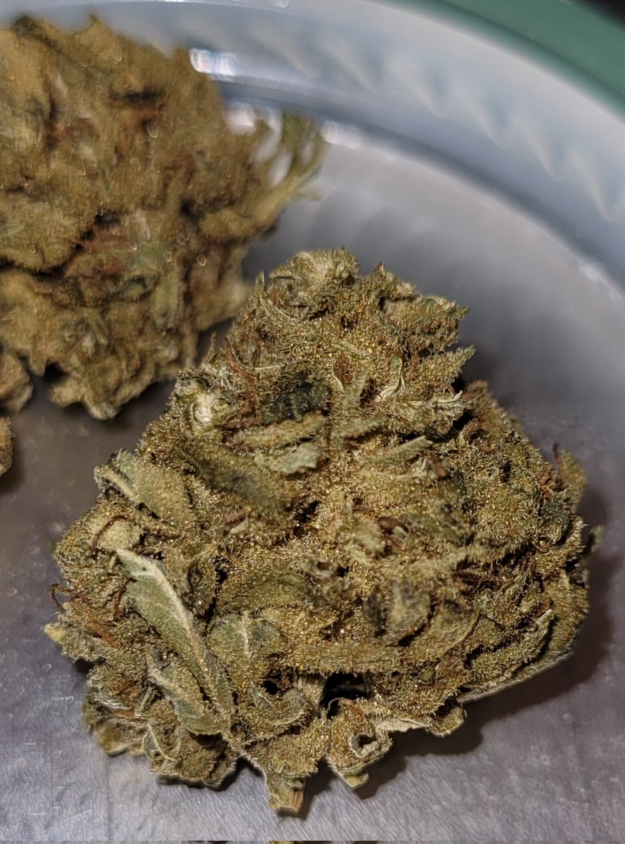 Island Sweet Skunk 
25%