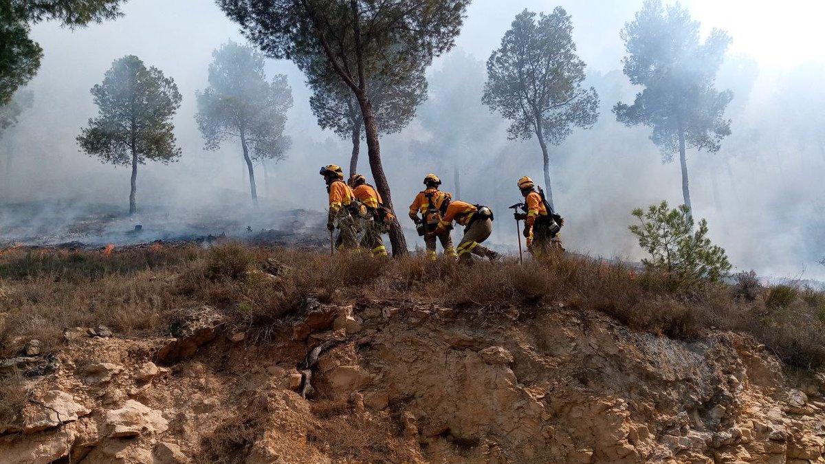 📢 [RESUMEN INTERVENCIONES] Semana 29 abril-05 mayo 2024 🔥 2 Incendios Forestales, TM #Lorca #Murcia 🔥 1 Conato Incendio Agrícola, TM #Moratalla @aamm_murcia @MurciaForestal
