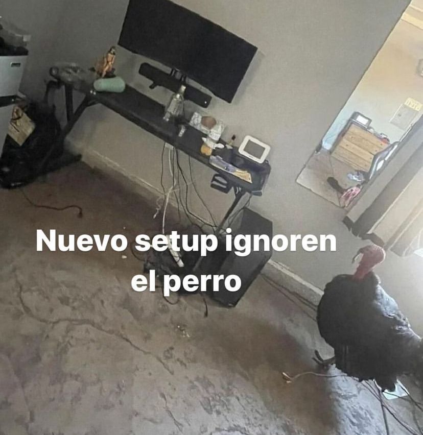 Memakker (@memakker) on Twitter photo 