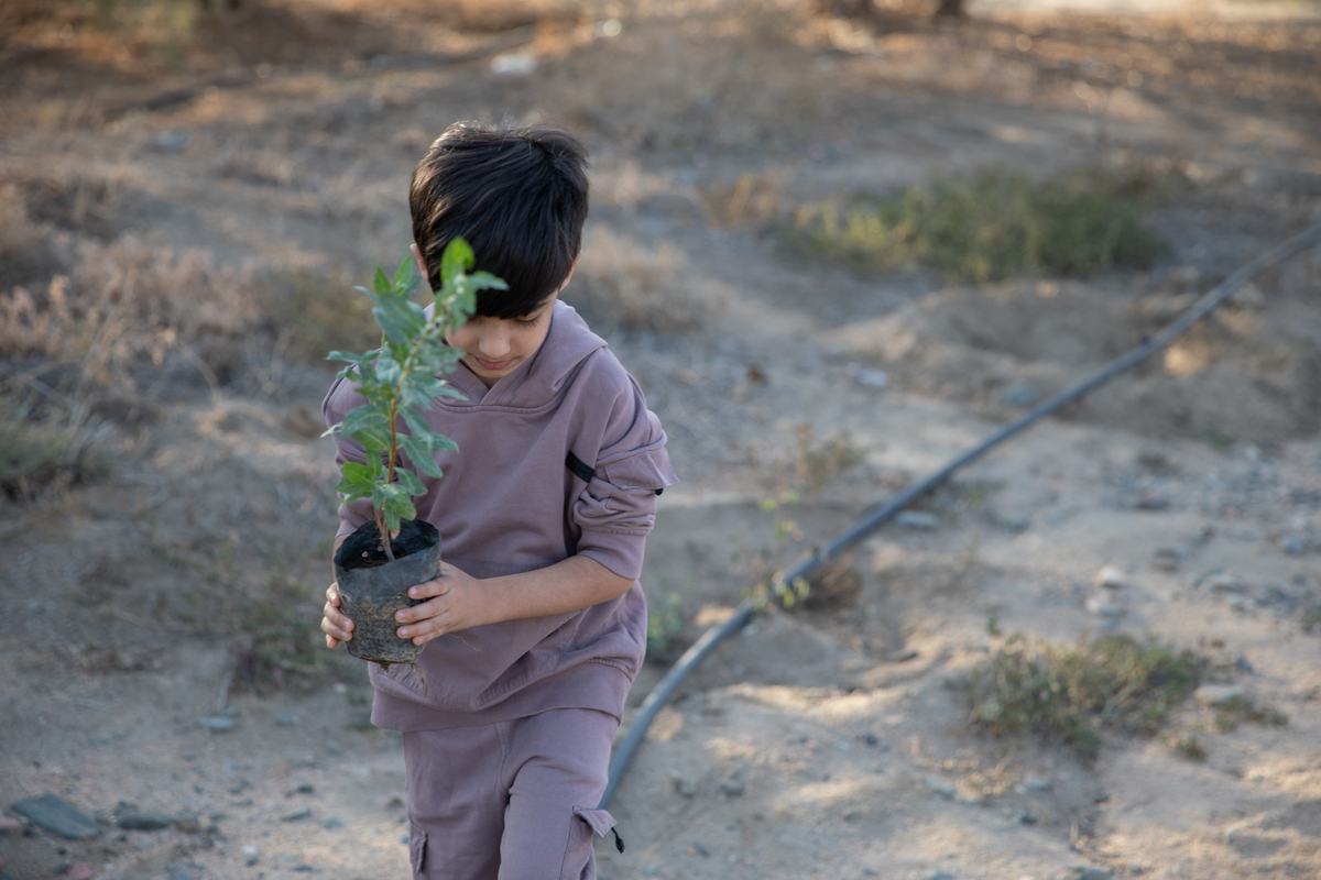 This year’s #WorldEnvironmentDay focuses on land restoration, desertification & drought resilience under the slogan “Our land. Our future'. Here is a closer look at what makes terrestrial & land-based ecosystems so unique & in some cases, awe-inspiring👇 wedocs.unep.org/bitstream/hand…