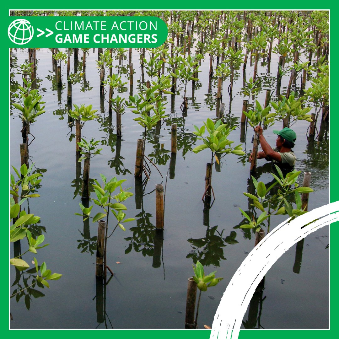 #CarbonMarkets may face a number of challenges but done right they can be a big help in the fight against #ClimateChange. See why in our latest Climate Action Game Changer: wrld.bg/50Zy50RwaRI #LivablePlanet