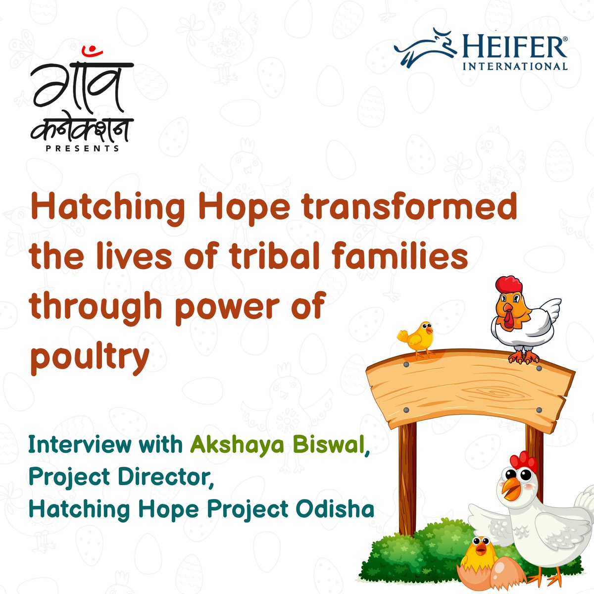 GaonConnectionE's tweet photo. Once migrant, tribal families have now found sustenance through backyard poultry farming. How did this remarkable shift occur in their lives?
Tune in to @AkashvaniAIR on April 06, 06:00 PM to hear Akshay Biswal, Project Director, #HatchingHope Project Odisha, share their inspiring story of change.
You can hear in Baripada, Keonjhar, Rourkela, Sambalpur, Puri, and Cuttack in Odisha.
#PartnerContent #PoultryFarming тАН @Heifer