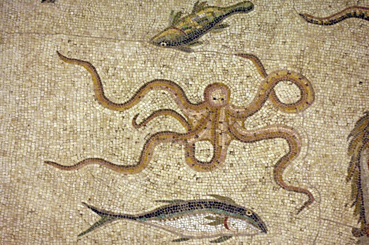 #MosaicMonday

Get out your tentacles folks, it’s a brand new week! Maybe you need a spare arm to hold up a protest sign, or many hands to offer aid. Take inspiration - this creature has five tentacles which is more than two arms!

🏛 Zeugmas Mosaic Museum, Gaziantep
📸 Dosseman