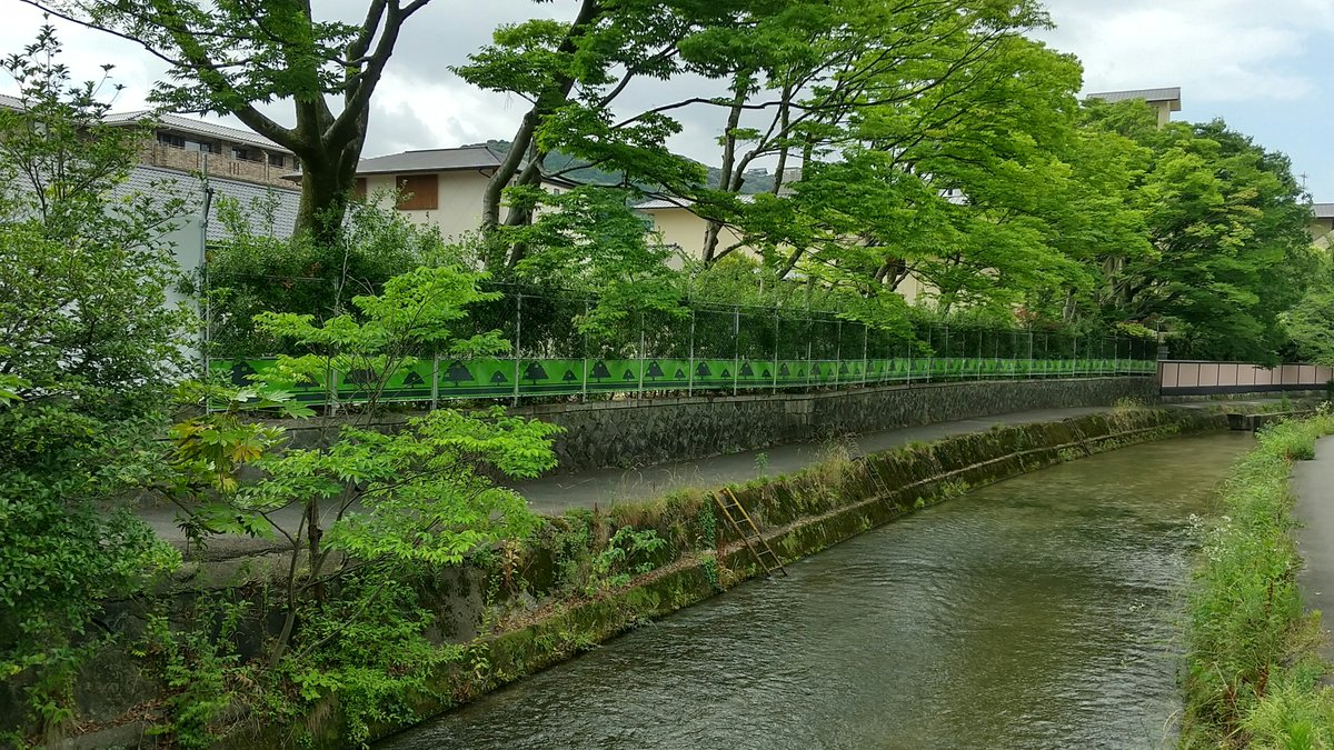 GoWithGuide's tweet image. It’s #mondayfunday, so here&apos;s a look at an in-depth tour of #kyoto and #osaka with expert local guide and food enthusiast Yuriko S., traveler Gabriel O. and his family  
Photo credits: Gabriel O. (traveler) &amp;amp; Yuriko S. (tour guide) check her out here! gowithguide.com/supplier/16763