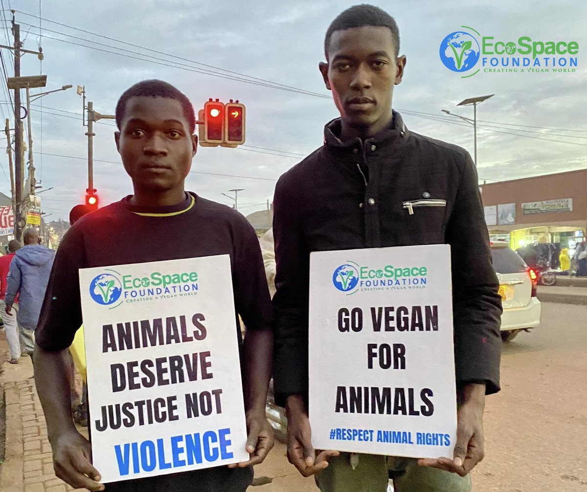 This is how it went on streets, our team of volunteers braved & stood up for the animals. The team held vegan advocacy boards for 2 hours & engaged with the public on need to  respect animal rights #VeganAdvocacy #AnimalRightsAdvocacy #VeganStreets  #AnimalRightsMatter