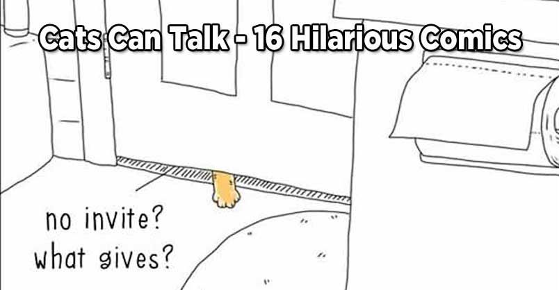 Cats Can Talk - 16 Hilarious Comics That Are Impossible Not To Laugh At I can definitely see my kitties in some of these illustrations, I think you're gonna love these hilarious comics - because they're impossible not to laugh at! CLICK here 👉 buff.ly/41dg2ZZ
