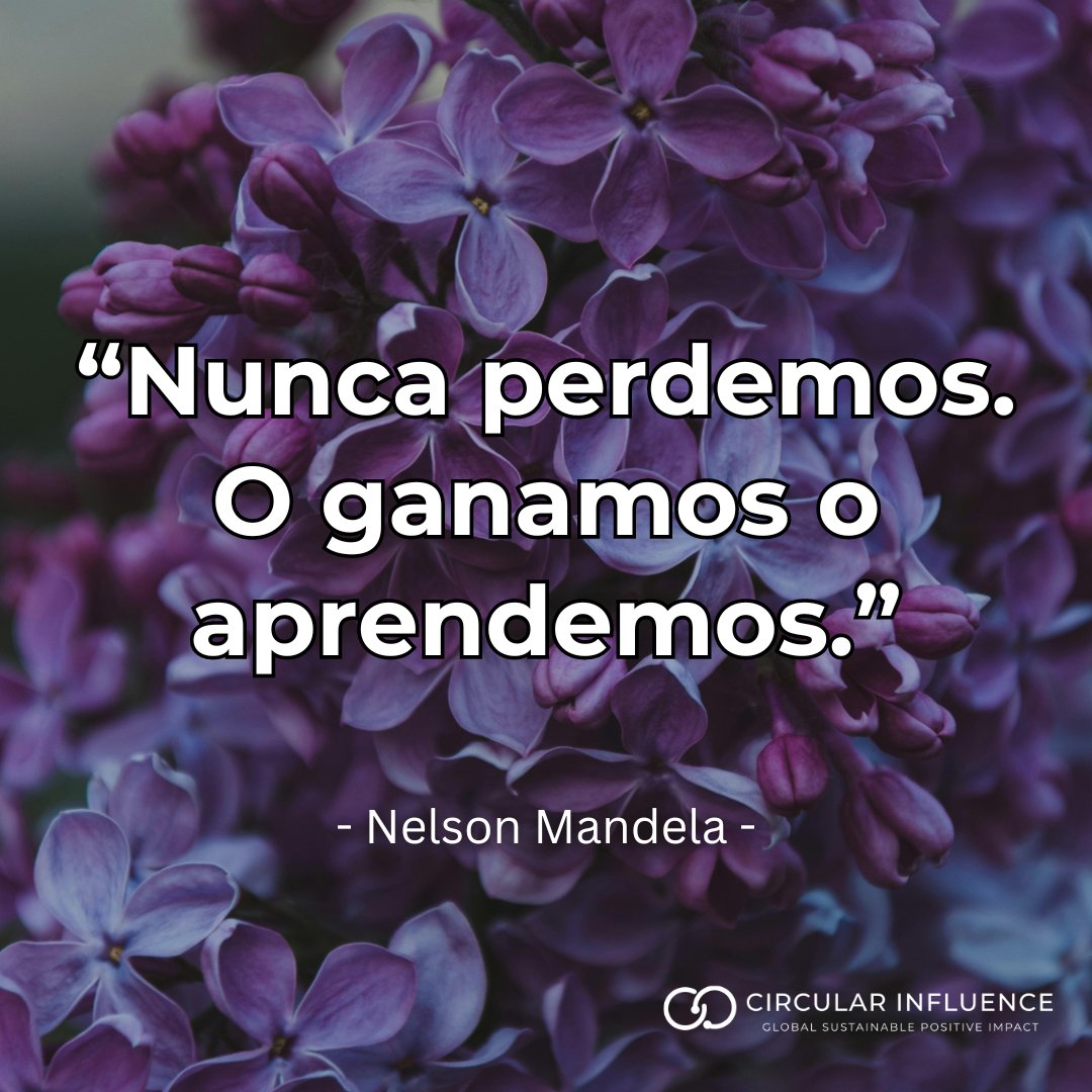 CircularInfluen's tweet image. 🙌 Do you agree ? 🙌

#motivational #quotesdaily