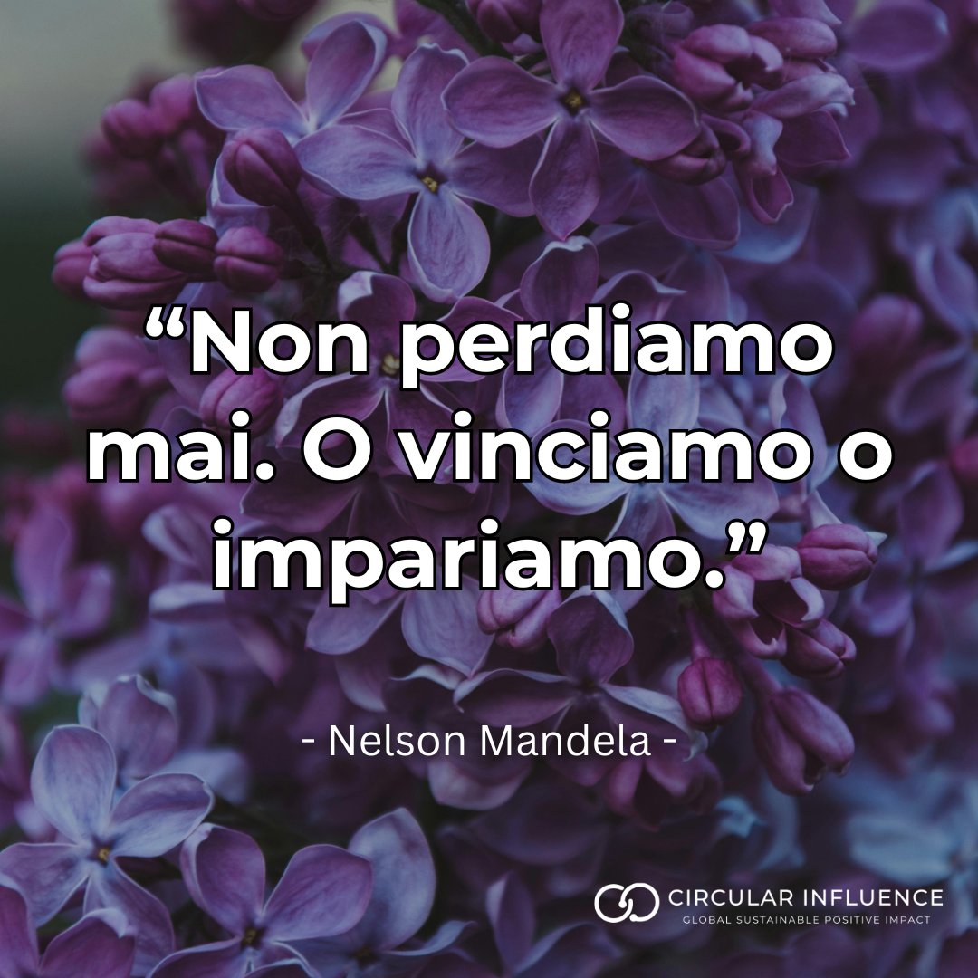 CircularInfluen's tweet image. 🙌 Do you agree ? 🙌

#motivational #quotesdaily