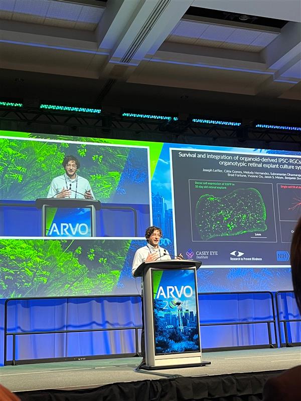 Congratulations to Joe Leffler on an amazing platform presentation today at detailing his work with creating an explant model for stem cell derived retinal ganglion cell integration using  <a href="/MeyerLab/">Meyer Lab</a>  cells! Thanks to @nina_luong for the photo!
