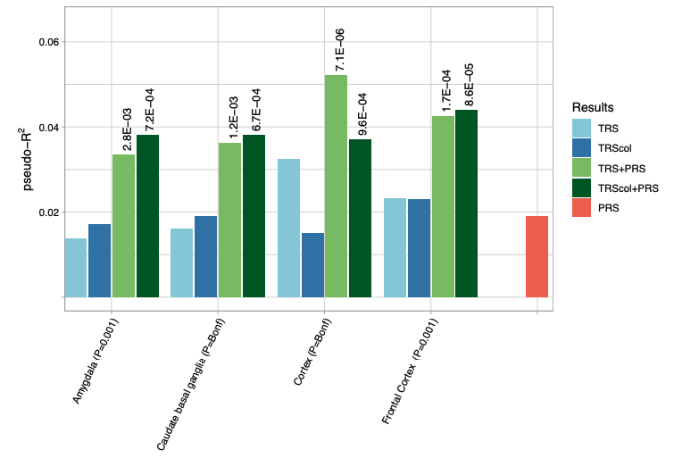 PGCgenetics's tweet photo. Elegant study on gene expression in #ADHD https://t.co/R7GS6XTZA7
🧬Generated transcriptomic risk scores (TRSs) for ADHD
🧬Individuals with ADHD have higher burden of TRSs than controls
@cabana_judit @natalia_llonga @RibasesM, @drramosquiroga @VHIR_ @vallhebron @CIBER_SAM https://t.co/cXWkOMnbHv