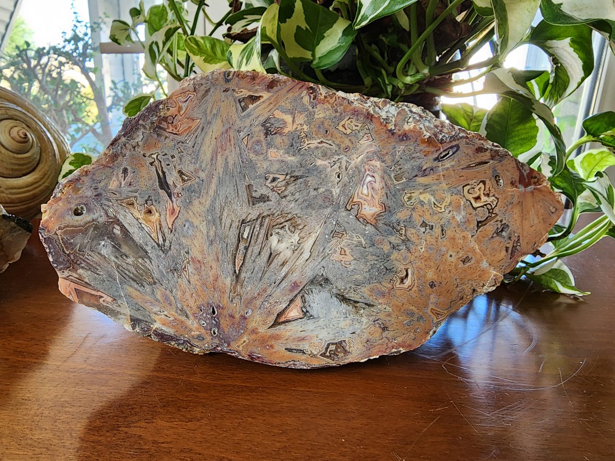 Large Stick Agate

#agate #achate #agata #stickagate #decorativerock #interiordesigners #agatecollection #collectibles #lapidary #largeagate #pinkrock #rocksandminerals #zeolite #PositiveVibes #agateslab #Crystal #gemstone #geologyrock #NaturalBeauty #naturalvibes #naturewalk