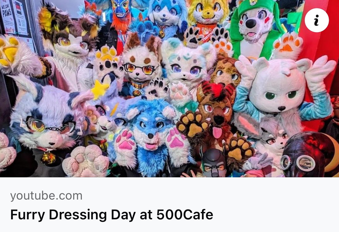 Try learning to take a VLOG at Furry Dressing Day youtu.be/E_vDSK5-FeQ?si… 📍: @500cafebangkok #FursuitEveryday